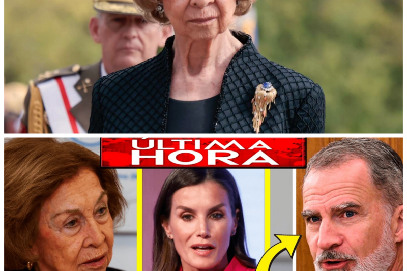 “¡La Casa Real en Crisis! Doña Sofía y Felipe VI en un Enfrentamiento que Deja Huella” La tensión entre Doña Sofía y Felipe VI ha alcanzado un nuevo nivel tras la visita de León XIV, revelando conflictos familiares que podrían poner en jaque la imagen de la monarquía. “Cuando la familia se convierte en el enemigo, las consecuencias son devastadoras.” La historia completa está en los comentarios a continuación.