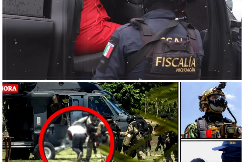 TITANES DEL EJÉRCITO Acabaron Con Jefes || Cayó El Güero Pin, El Sierra 1, Sobrino Del Jardinero…