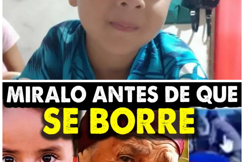 “¡Horror Total! El Momento en que Llevaban a Loan: ¡Ellos lo Hicieron y Nadie lo Vio Venir!” Las imágenes impactantes del secuestro de Loan han dejado a todos en estado de shock, revelando un horror que nadie esperaba. La pregunta que todos se hacen es: ¿quiénes son “ellos” y qué buscan realmente? “¿Es esto un nuevo episodio de una serie de terror o una pesadilla que no termina?” La historia completa está en los comentarios a continuación.