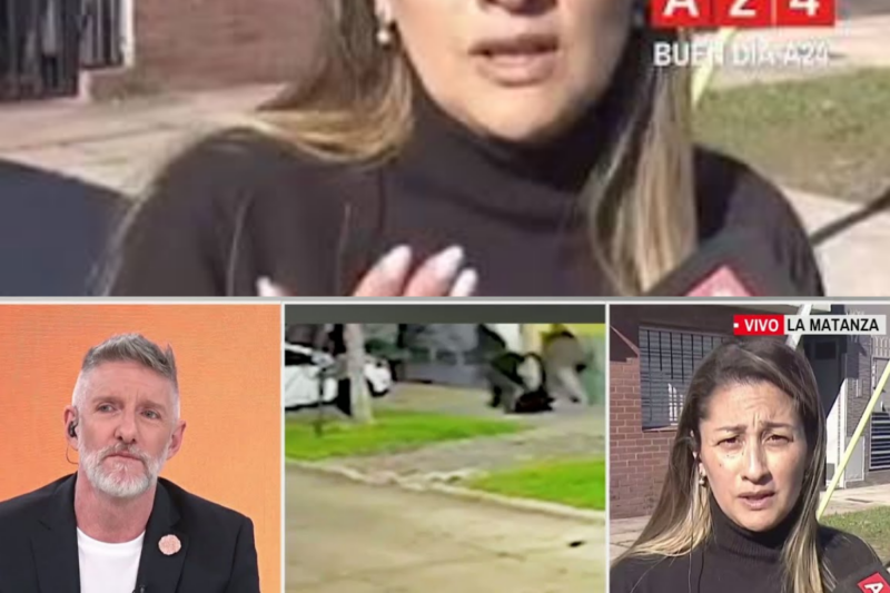 INSEGURIDAD EN VILLA LUZURIAGA: MUJER FUE VIOLENTAMENTE GOLPEADA POR DELINCUENTES PARA ROBARLE