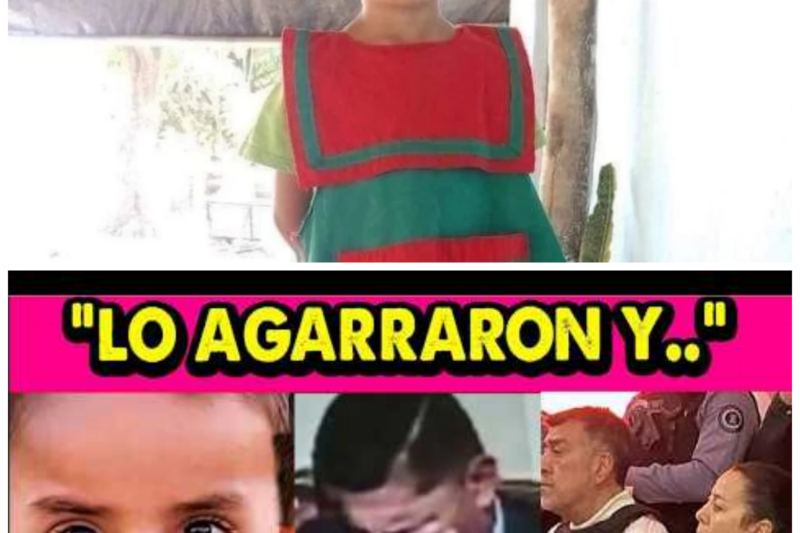 “¡REVELACIONES ESCALOFRIANTES! Abogado Se Quiebra al Describir el Secuestro de Loan: ‘FORCEJEARON Y LUEGO...‘” En un momento desgarrador, el abogado de Loan ha compartido los impactantes detalles de su secuestro, revelando una historia de horror que ha dejado a la comunidad en estado de shock y llena de preguntas. “Cuando la verdad se revela, el miedo se convierte en una realidad aterradora.” La historia completa está en los comentarios a continuación.