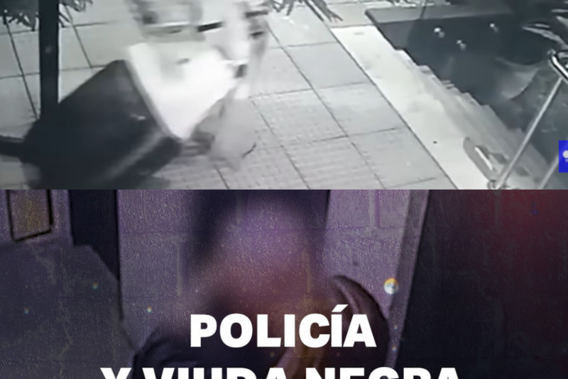 POLICÍA Y VIUDA NEGRA – PIEDRA LIBRE AL LADRÓN