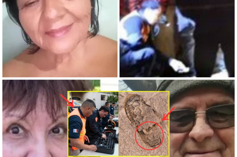 “¡Última Hora en Chubut! Dos Huellas Descubiertas Ofrecen Nuevas Pistas sobre el Destino de los Jubilados Desaparecidos”  En un giro que ha dejado a todos en shock, se han descubierto dos huellas que podrían cambiar el curso de la investigación sobre los jubilados desaparecidos en Chubut. Este hallazgo ha encendido un nuevo rayo de esperanza en la búsqueda de la verdad. “La verdad siempre encuentra su camino, aunque sea a través de las sombras”. La historia completa está en los comentarios a continuación.