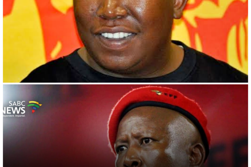 Malema’s legal bravado is supposed to silence questions—but Dr Levy Ndou just cracked the mask, pointing to troubling closeness with Sayed and Khan that sounds too coordinated to be coincidence. Under the bright lights of the Madlanga Commission, investigators are learning that timing matters and connections don’t “just happen.” This isn’t a sleepy inquiry anymore; it’s a courtroom thriller where every sentence feels rehearsed and every delay feels suspicious. And here’s the twist no one will admit aloud: if Malema knew, he isn’t a victim—he’s the strategy. -ZZ  The full story is in the comments below.