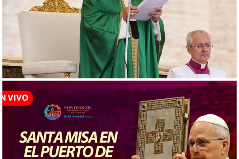 ¡Caos total tras el vivo desnudando la Santa Misa del Papa León XIV en el Puerto de Santa Cruz de Tenerife por el Viaje Apostólico, exponiendo feroces internas de la tarde, pactos de madrugada y una rosca que búnkers oficiales ocultaron hoy en la red! El silencio sepulcral de los detractores de la tarde tras el imponente e histórico impacto de la liturgia papal en el muelle tinerfeño destapó una descomunal olla de presión en los comités organizadores de madrugada mientras el chat de la transmisión en vivo ardía desmantelando los relatos oficiales. “El que siembra vientos de desprecio corporativo desde las alturas con gacetillas de la tarde pretendiendo tapar un quiebre de esta magnitud en vivo, cosecha tempestades de una réplica institucional implacable.” Las sospechas quebraron el entorno. La historia completa está en los comentarios a continuación.