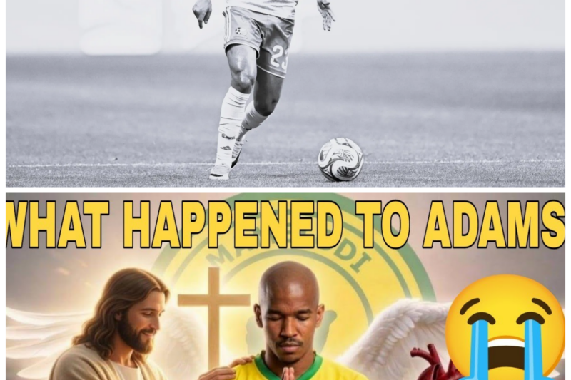 What Happened To Jayden Adams? | Cause Of Death Revealed! 😭/ Mamelodi Sundowns Is A Cause?