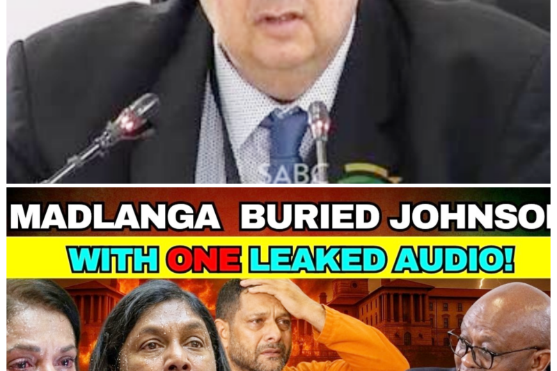 THE SILENCE IS BROKEN: MADLANGA’S LETHAL AUDIO LEAK LEAVES ANDREA JOHNSON FIGHTING FOR HER LIFE IN A BLOODY BATTLE FOR SURVIVAL AMIDST THE RUINS OF HER CAREER! THE SHOCKING RECORDINGS, WHISPERED IN THE SHADOWS BUT NOW SCREAMED FROM THE ROAFTOPS, EXPOSE A WEB OF CORRUPTION SO DEEP IT THREATENS TO SWALLOW THE ENTIRE PROSECUTION WHOLE. AS JOHNSON SCRAMBLES TO EXPLAIN THE UNEXPLAINABLE, THE NATION WATCHS IN MACABRE FASCINATION AS THE HUNTER BECOMES THE HUNTED. THIS ISN’T JUST A LEAK; IT’S A TOTAL SYSTEM FAILURE THAT HAS LEFT ONE OF THE MOST POWERFUL WOMEN IN THE COUNTRY BURIED ALIVE UNDER HER OWN WORDS! -ZZ There’s nowhere to run when your own voice is the smoking gun, and right now, Andrea Johnson is looking like a deer caught in the high-beams of a legal freight train driven by a vengeful Madlanga. It’s the ultimate “gotcha” moment that has turned the legal community into a shark tank, and baby, the water is turning red as the audio evidence tears her carefully crafted image to bloody ribbons.  The full story is in the comments below.