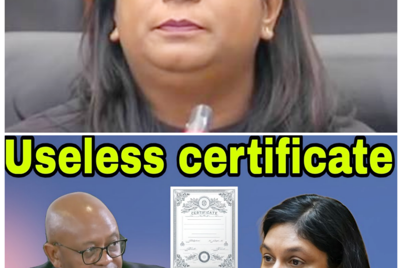 Madlanga Hits Back Hard, Branding Adv Andrea Johnson’s Medical Certificate “Useless” After She Misses Testimony, Setting Off a Storm of Doubt, Tension, and Questions About Whether the Document Was a Shield, a Delay Tactic, or Something Even More Embarrassing-ZZ  There is nothing subtle about calling a medical certificate useless, and that blunt dismissal has put the spotlight squarely on Adv Andrea Johnson’s absence. What was once a matter of health documentation is now tangled up in a bigger narrative about evasion, trust, and the political theater of not showing up when the room is waiting.