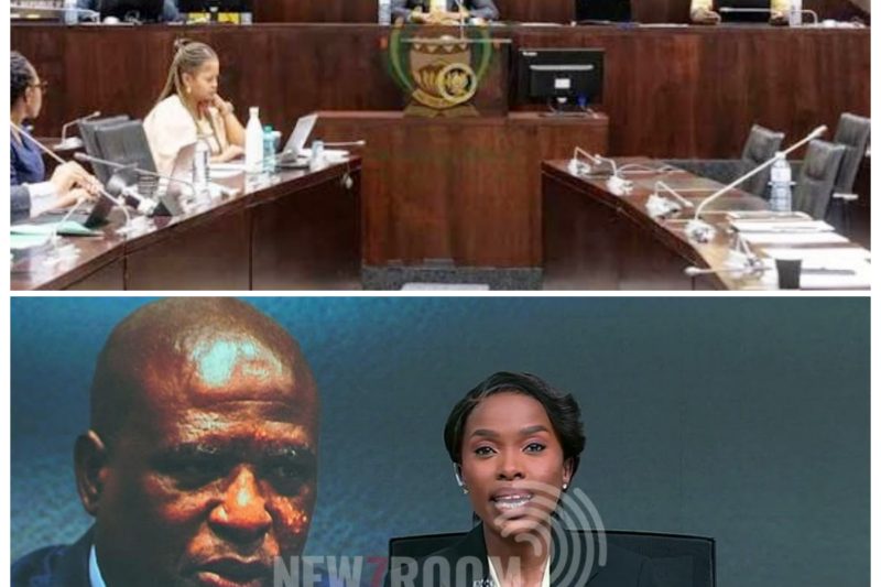 Outrage Mounts as Ad Hoc Committee Is Slammed as a Waste of Public Money -ZZ The committee is facing fierce criticism after being branded a costly burden on taxpayers. Opponents say the money could be better spent elsewhere, and the longer the debate drags on, the more the pressure builds for answers and accountability. The full story is in the comments below.