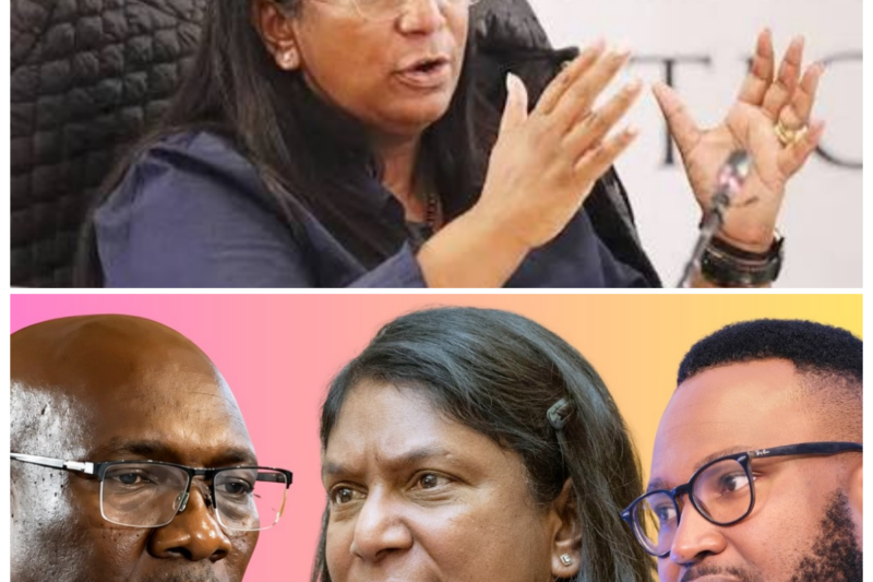 Andrea Johnson’s Parliament Drama Raises a Brutal Question: Was This a Mistake, a Cover-Up, or a Political Trap? -ZZ  When a simple answer isn’t enough, the speculation gets louder, and that’s exactly where this story is headed. Andrea Johnson’s conduct is now being dissected line by line as Parliament faces pressure to decide whether it was misled, misinformed, or pushed toward a version of events that leaves too much unsaid. The twist is that the truth may be buried not in one statement, but in the silence around it.