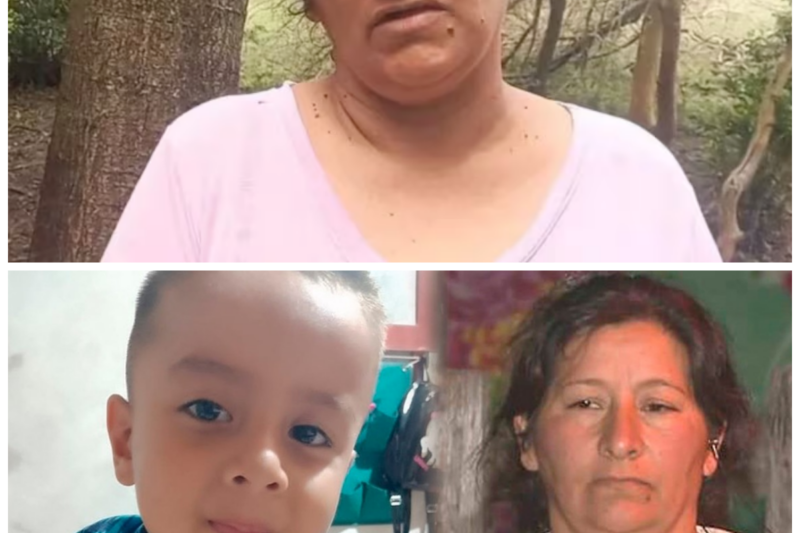 “Emotivo juicio por el caso Loan: La madre llora y pregunta a Laudelina: ‘¿Dónde está?'”  El tribunal fue testigo de un momento desgarrador cuando la madre de Loan, visiblemente afectada, exigió respuestas a Laudelina, creando una atmósfera de tensión y desesperación. “En el corazón de cada madre, la búsqueda de la verdad nunca cesa”. La historia completa está en los comentarios a continuación.