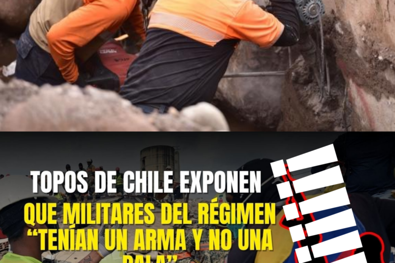 “Tenían arma y no una pala”: Topos de Chile expone que militares del régimen obstruyeron rescates