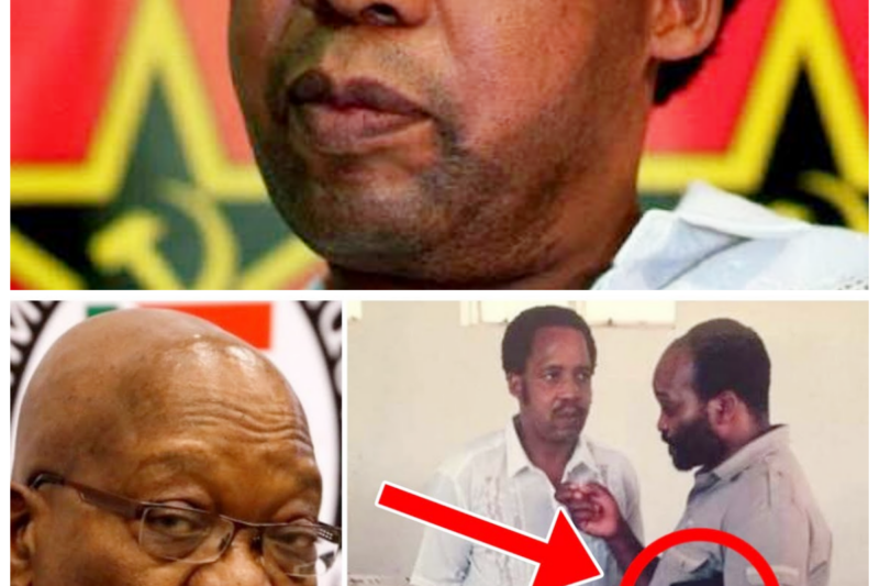 “THE THEORY THAT WON’T REST: WHY ZUMA’S NAME SURFACES IN CHRIS HANI ASSASSINATION TALK” -ZZ  If you’ve seen the threads, you know the tone: urgent, suspicious, and fueled by a desire for answers that never fully arrive. Some people insist Jacob Zuma’s proximity—especially the “last person to see him alive” angle—somehow points toward Chris Hani’s assassination. But here’s the twist that makes it worse: the story’s power comes less from confirmed evidence and more from the tension between what people remember, what they infer, and what official accounts leave unresolved.
