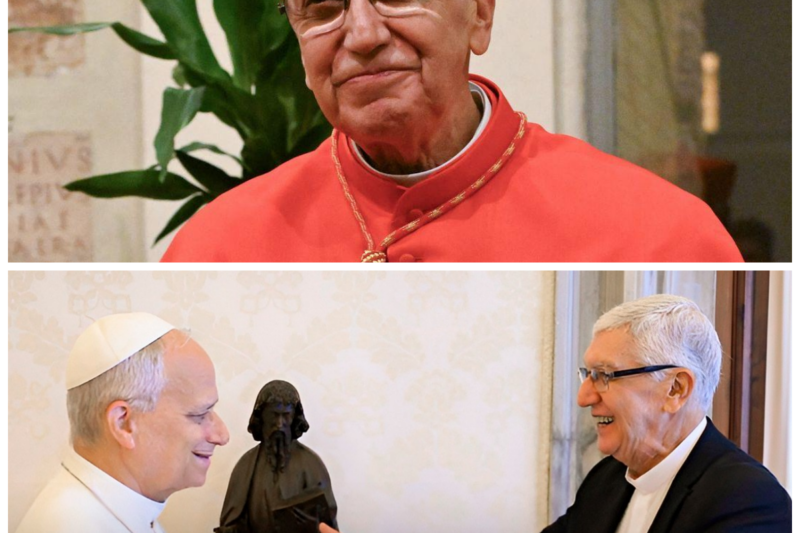 ¡Caos total tras el vivo desnudando la secreta audiencia del Papa León XIV con el cardenal Carlos Castillo en el Vaticano, exponiendo feroces internas de la tarde, pactos de madrugada y una rosca de poder que los búnkers oficiales ocultaron con farsas! El silencio sepulcral de los encubridores de la tarde tras el imponente cónclave a puertas cerradas destapó una descomunal olla de presión en los arzobispados de madrugada mientras el chat de la transmisión en vivo ardía desmantelando los relatos oficiales de simple rutina. “El que siembra vientos de desprecio corporativo desde las alturas con gacetillas de la tarde pretendiendo tapar un quiebre de esta magnitud en vivo, cosecha tempestades de una réplica institucional implacable.” Las sospechas quebraron el entorno. La historia completa está en los comentarios a continuación.