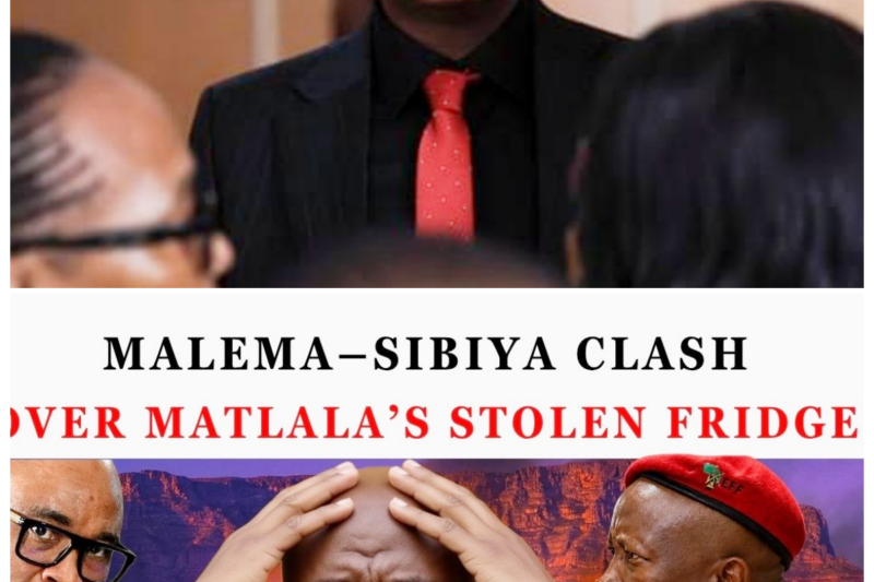 Malema and Sibiya’s Bitter Fridge Row Spirals Into Full Drama as the “Stolen” Appliance Becomes a Symbol of Something Bigger, Dirtier, and More Personal, Dragging the Clash Beyond the Joke and Into a Very Uncomfortable Battle of Pride-ZZ  At first glance, it sounds laughable. But once the accusations started flying, the story took on a sharper edge, revealing a confrontation that is clearly about more than one piece of kitchen equipment. The fridge may be the object in question, but the real heat is coming from the resentment, the optics, and the public struggle to control the narrative.