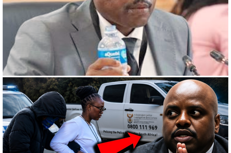 Arrest, Denial, and Another Twist: Julius Mkhwanazi and Witness K Are Reportedly Caught in the IPID Net as the R15M Gemstone Heist Story Deepens Into a Mystery Nobody Can Quite Explain-ZZ  Just when it seemed the story could not get more complicated, another twist lands and drags the entire R15 million gemstone narrative back into the spotlight. Julius Mkhwanazi and Witness K now stand at the center of a case that feels equal parts suspicious, volatile, and unfinished, with every new claim adding more pressure and less certainty. The public wants a clean answer, but this case keeps giving them something messier. The full story is in the comments below.