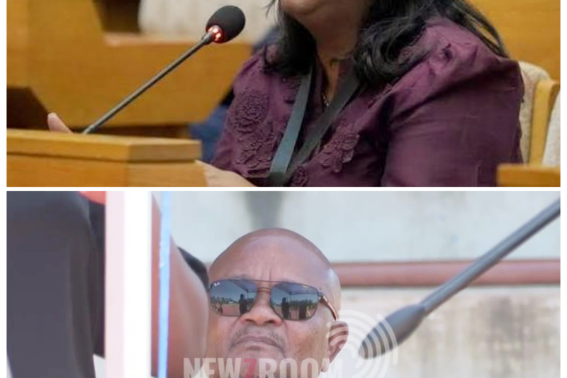 MCHUNU SPOKESPERSON BREAKS SILENCE ON THE INTELLIGENCE CHIEF’S COURT CLAIMS, AND THE RESPONSE SPARKS A VOLATILE MIX OF DENIALS, IMPLICATIONS, AND POLITICAL TENSION THAT COULD EASILY TURN THIS INTO ONE OF THOSE STORIES THAT STARTS WITH A STATEMENT AND ENDS WITH A MAJOR HEADACHE FOR EVERYONE INVOLVED -ZZ  The spokesperson’s reaction wasn’t just a reply—it was a signal that the Mchunu side is ready to fight back in public. Once the intelligence chief’s claims entered the legal arena, the story took on a sharper edge, and every new word seems to deepen the divide rather than close it. The atmosphere now feels charged with suspicion, and the possibility of a bigger fallout keeps hanging over everything.