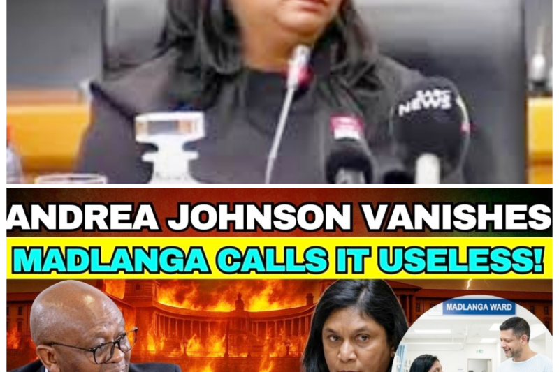 Andrea Johnson Vanishes Into the Shadows as Madlanga Fires Back With a Cold, Cutting “Useless,” Turning a Simple No-Show Into a Tense, Emotionally Loaded Twist That Has Everyone Asking Who Benefits From the Silence-ZZ  This is the kind of moment that tends to linger, because the absence is only part of the story. Madlanga’s sharp dismissal has ensured that Johnson’s disappearance will be interpreted through a much harsher lens, one that invites doubt, frustration, and a sense that something important has been pushed just out of reach.