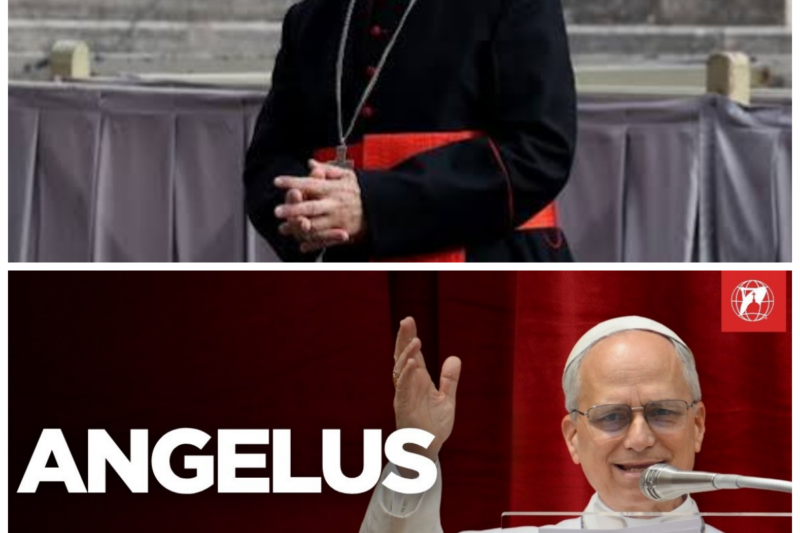 ¡Caos total tras el vivo del Ángelus del Papa León XIV desde el Vaticano este 5 de Julio de 2026, exponiendo feroces internas de la tarde, pactos de madrugada y una rosca eclesiástica que los búnkers oficiales ocultaron con burdas farsas hoy en la red! El silencio sepulcral de los burócratas de la tarde tras el imponente y feroz mensaje del Sumo Pontífice desde el balcón apostólico destapó una descomunal olla de presión en las curias de madrugada mientras el chat de la transmisión en vivo ardía desmantelando los relatos de supuesta armonía. “El que siembra vientos de desprecio corporativo desde las alturas con gacetillas de la tarde pretendiendo tapar un quiebre de esta magnitud en vivo, cosecha tempestades de una réplica institucional implacable.” Las sospechas quebraron el entorno. La historia completa está en los comentarios a continuación.