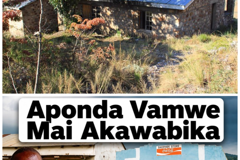 The Unthinkable Horror in Chimanimani: A Quiet Mountain Retreat Transformed Into a Theater of Unspeakable Family Treachery That Has Left the Entire Region Paralyzed!  The mist-covered peaks of Chimanimani were meant to be a sanctuary, but they instead became the silent witnesses to an act of such profound betrayal that it defies every moral boundary, turning a traditional household into a scene of absolute, haunting despair. Residents are now whispering in the shadows, struggling to reconcile the memory of a seemingly ordinary life with the gut-wrenching revelation of how a bond meant to protect was instead used as a weapon to orchestrate a final, devastating departure behind closed doors. It is a chilling descent into the fragility of human sanity, where the lines between protector and orchestrator blur, leaving everyone to question how such darkness could remain hidden until the moment it was far too late to intervene. “Trust is a fragile glass that, once shattered, reveals the jagged edges of a hidden nightmare.”  The complete story is in the comments below.