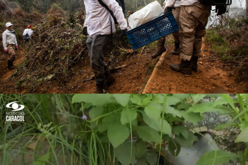Misión humanitaria halló restos de personasdesaparecidas en medio del conflicto armado en Colombia