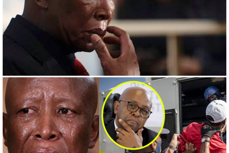 Political Drama Explodes as Malema Is Thrown Back Into the Spotlight and Madlanga Faces a Crucial Moment -ZZ  There’s no such thing as a quiet week when politics turns into spectacle. Malema is now dominating the conversation, and Madlanga’s next move is becoming the detail everyone is watching like a hawk. The story has all the ingredients of a major showdown: pressure, speculation, shifting alliances, and a public hungry for answers.  The full story is in the comments below.