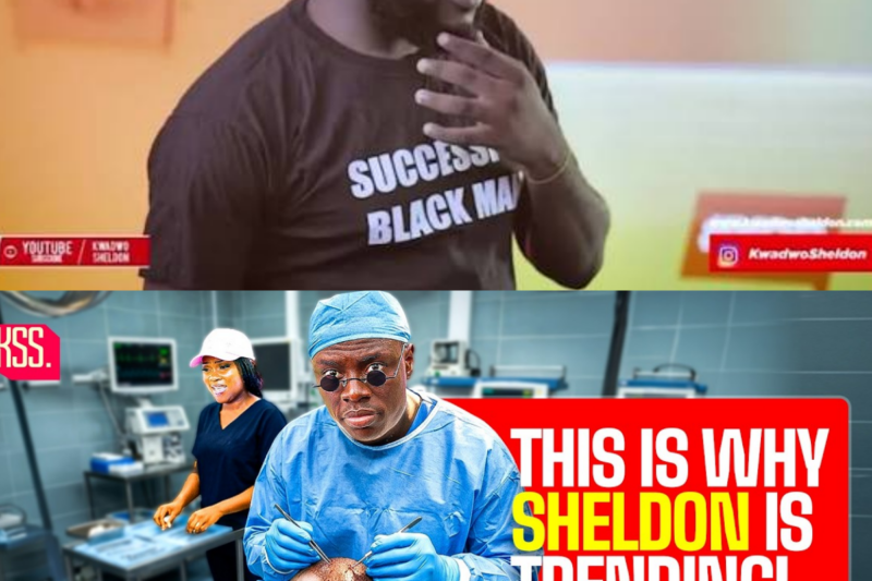 This Is Why Kwadwo Sheldon Is Trending….