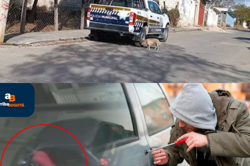 Delincuentes robaron un vehículo en Las Margaritas en segundos