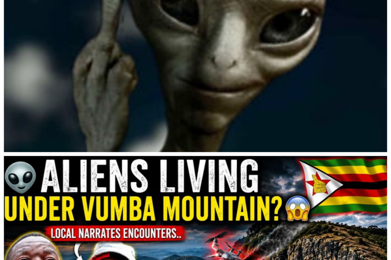 The Vanishing Souls of Vumba: Chilling Testimonies of People Who Entered the Mist and Simply Ceased to Exist!  The emerald canopy of the Vumba mountains has long been whispered to possess an appetite for those who stray from the path, but the recent surge in unexplained disappearances has finally peeled back the veil on a mystery that is now terrorizing the local population. Residents speak in hushed tones of a heavy, unnatural silence that descends before a person vanishes, leaving behind nothing but abandoned personal belongings and the lingering feeling of being watched by something that does not belong to this world. As families desperately scour the dense foliage for answers, the fear has become palpable, transforming a once-breathtaking tourist destination into a landscape of dread where every shadow is suspect and every rustle in the leaves could be the last sign of a soul lost to the mountain’s insatiable, hidden grasp. “The most terrifying prison is the one that leaves no walls behind to show where the lost have gone.”  The complete story is in the comments below.