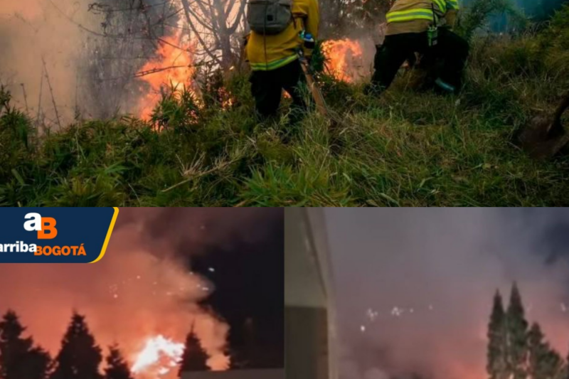 Emergencia en Soacha: incendio forestal arrasó tres hectáreas de vegetación