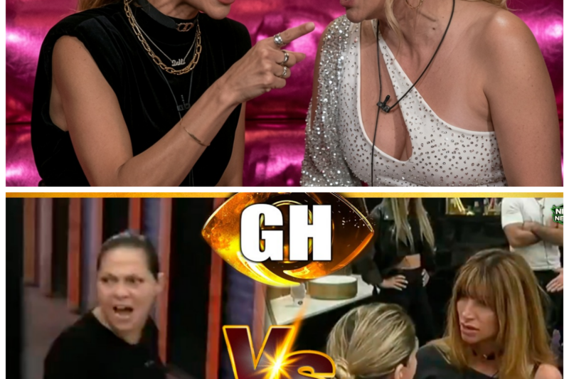 URGENTE🚨SOL lastimó a TAMARA🚨MEGA pelea a los GRITOS🚨GRAN HERMANO