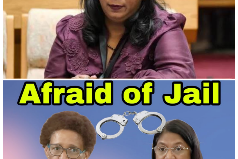 A Legal Bombshell Unfolds as Andrea Johnson Is Put on the Spot, Seemingly Admitting She’s Afraid of Being Incriminated While Commissioners Publicly Drag Her Through a Brutal Exchange That Feels More Like a Scandal Unraveling in Real Time Than Any Ordinary Official Proceeding -ZZ  There are moments when pressure exposes everything, and this looked like one of them. Andrea Johnson’s reaction to the commissioners’ relentless questioning seemed to crack the surface, revealing fear, hesitation, and a sense that the stakes were far higher than anyone first believed. As the tone grew harsher and the questions more pointed, the entire scene took on the energy of a dramatic reveal, with viewers left wondering what exactly had been said off-camera to trigger this explosive moment.