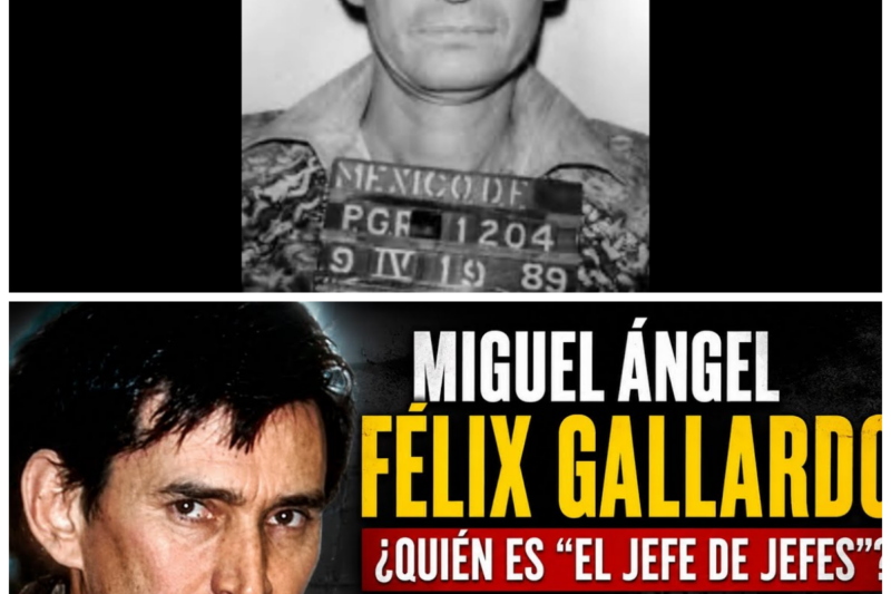 Miguel Ángel Félix Gallardo rompe el silencio: quién es y qué dijo en su entrevista desde prisión.