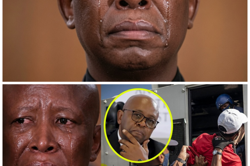 “South Africa’s Shock of the Year: Julius Malema’s Arrest and Madlanga’s Long Silence Broken—‘This Will Shake the Foundations of Our Democracy,’ insiders warn of an impending upheaval”  The arrest of Julius Malema has shattered the political landscape, and Madlanga’s finally speaking out has set off a wave of speculation and fear—what secrets are finally coming to light? And what does this mean for the future of South Africa? The nation is trembling—”It’s a historic turning point.” The full story is in the comments below.