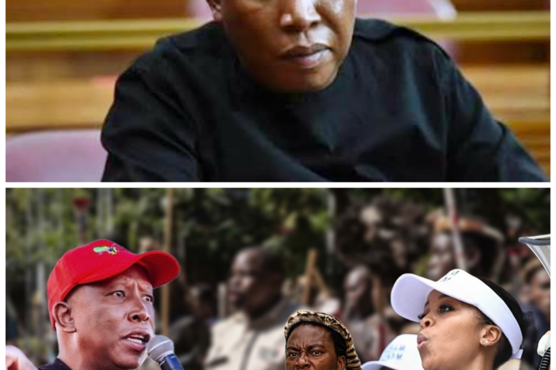 “Global Shockwaves: Malema’s Explosive Xenophobia Speech Rocks South Africa and Beyond”  Julius Malema’s powerful speech condemning xenophobia has sparked a global outcry—what truths did he expose? And how will this influence the fight against hate? The world is watching—”This could be a turning point.” The full story is in the comments below.