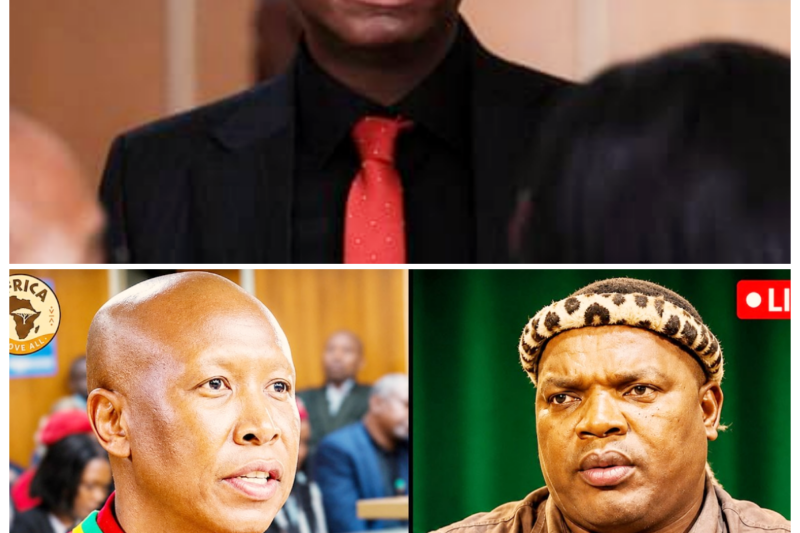 The Strange Power Clash Between Ngizwe Mchunu, Julius Malema, and Jesus That Left Christians Reeling -ZZ A conversation so explosive, so loaded with symbolism and outrage, it didn’t just spark debate — it slammed straight into the heart of faith, politics, and public emotion. When Ngizwe Mchunu and Julius Malema entered the picture with Jesus at the center of the storm, the result was a shocking collision of pride, belief, and raw tension that had believers staring in disbelief. The full story is in the comments below.