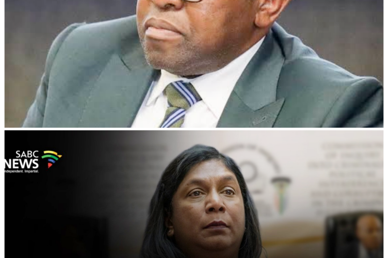 Madlanga Commission Presses IDAC Head to Clarify Contradicting Testimony as Pressure Mounts Over Conflicting Accounts -ZZ  The Madlanga Commission is not letting the contradictions slide, and the IDAC head has now been put on the spot to explain testimony that appears to conflict with earlier statements. What might have started as a procedural clarification has turned into a serious credibility test, with the commission’s probing questions suggesting that the inconsistencies may be too significant to ignore. As the hearing unfolds, the real issue becomes whether the contradictions are innocent errors or signs of something much more troubling.
