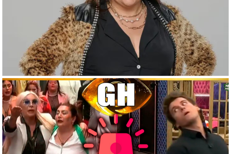 EXPLOTÓ PINCOYA YIPIO vs SOL COLA y HANNSEN vs JC GRAN HERMANO