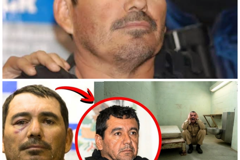 La historia prohibida de Santiago Meza López: La vida en prisión que lo convirtió en un símbolo de horror y desesperanza que nadie contó Desde las sombras, “El Pozolero” comparte su experiencia en una cárcel donde la brutalidad y la desesperación reinan, revelando secretos que podrían destrozar su reputación o elevarlo como un símbolo de resistencia. Un relato que desafía toda lógica y que te hará cuestionar la justicia y la moralidad. (“¿Hasta qué punto la cárcel revela quién eres realmente?”). La historia completa está en los comentarios a continuación.