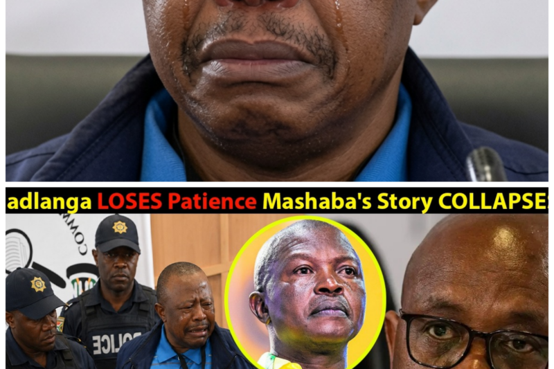 “Madlanga Reveals His True Power and South Africa Is Never the Same—Mashaba’s Life and Career Disintegrate in a Spectacle of Revenge—‘He’s Playing for Keeps,’ insiders warn of a seismic shift”  The moment South Africa has feared has arrived—Madlanga’s true strength is unleashed, and Mashaba’s entire world is collapsing into chaos—secrets long buried are now exposed, and the fallout could reshape the nation forever—what dark truths are finally coming out? The nation is in shock—”This is a turning point for all of us.” The full story is in the comments below.